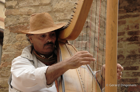 Harpist