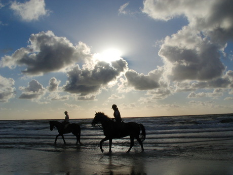 !!!! strandrit !!!!!