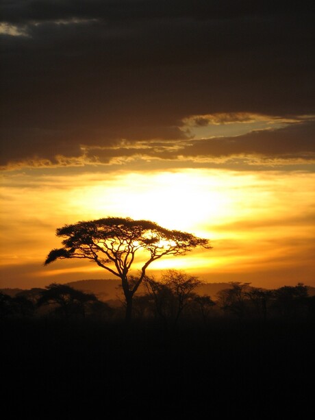 Zonsondergang @ Serengetti