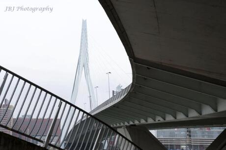 Erasmusbrug