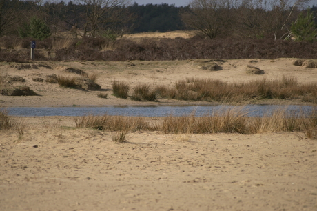 Loonse en Drunense Duinen