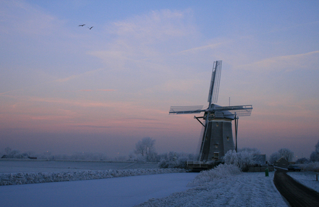 Windmill in sunrise