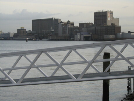 Skyline Rotterdam