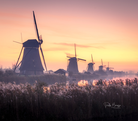 Kinderdijk 