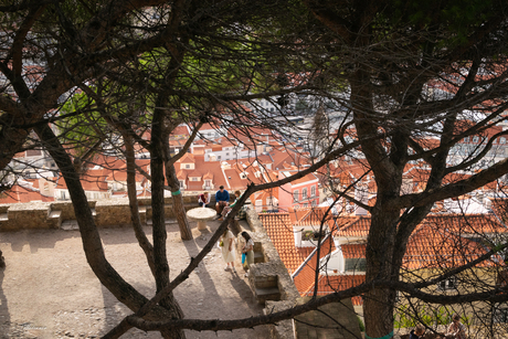 De daken van Lissabon