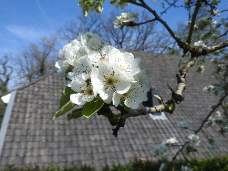 Romeins Sonsbeek, Arnhem 2026