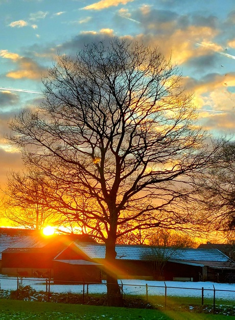 Op een koude januari dag 2024