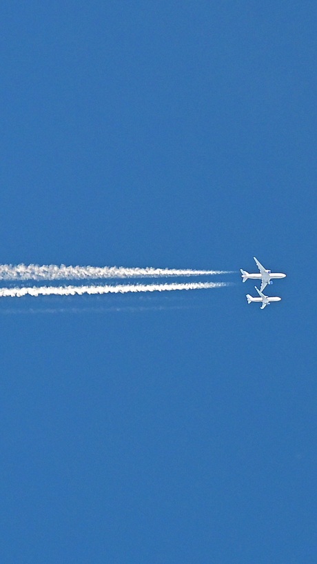 Minimalistische race