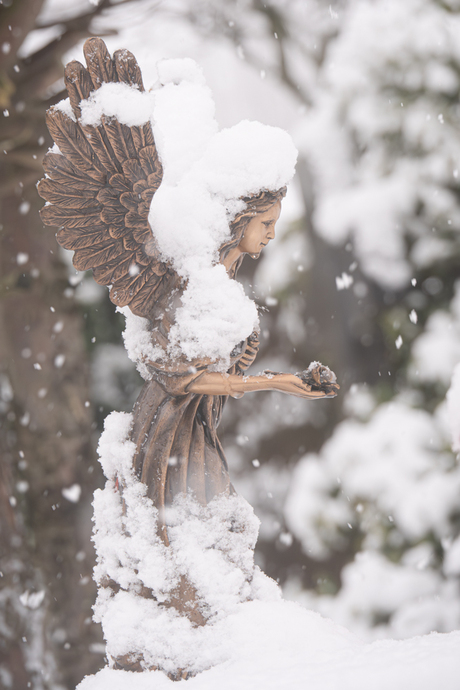 Angel of snow I