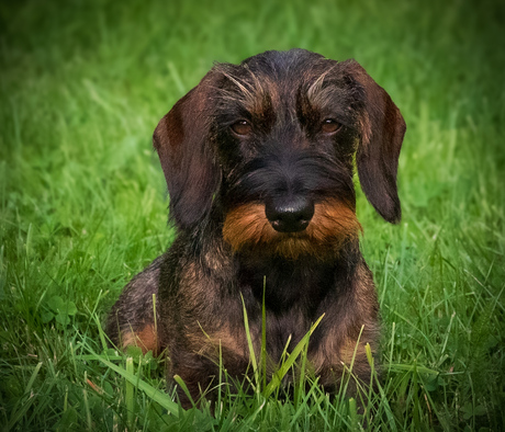 Netjes blijven zitten.....