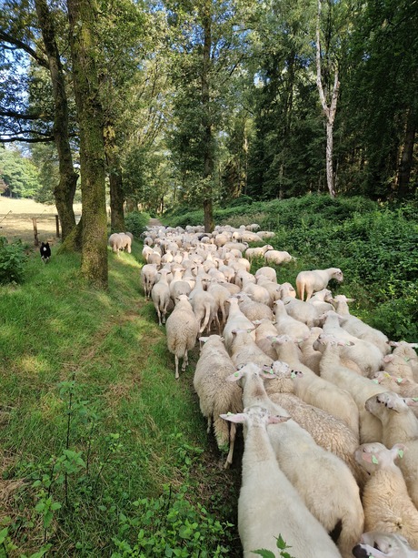 Op weg naar....