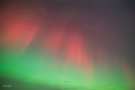 Noorderlicht 