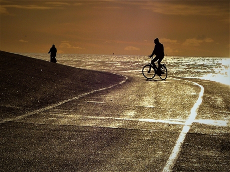 fietsers in decemberlicht