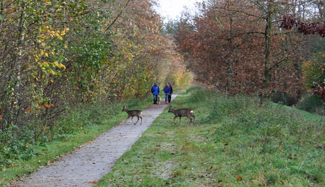 Herfst