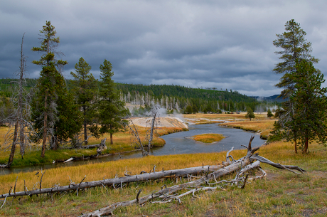 Yellowstone park