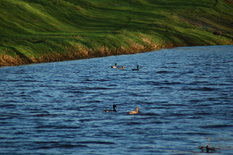 zomaar ergens in groenlo