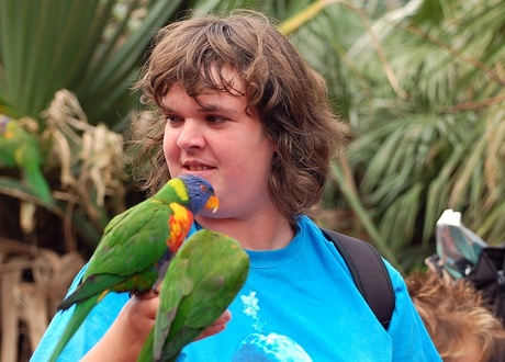 ik heb nu twee vogels op mijn hand