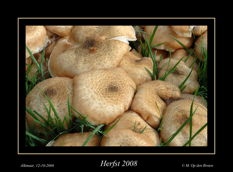 Herfst 2008-4