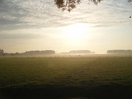 Opkomende zon met grondnevel