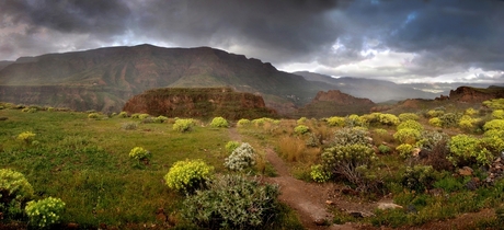 Gran Canaria