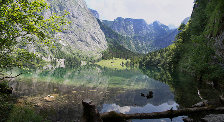 Obersee