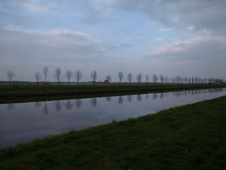 waterbomen