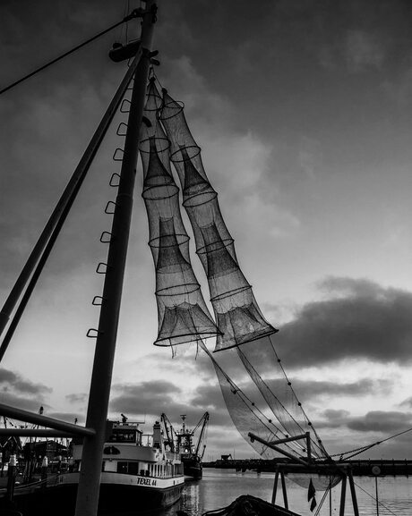 Texel Harbor