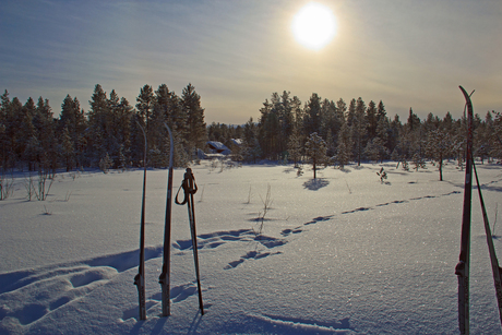 Lapland cross country skiën.jpg