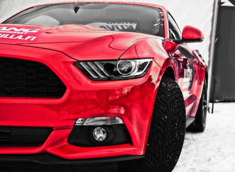 The eye of the Mustang