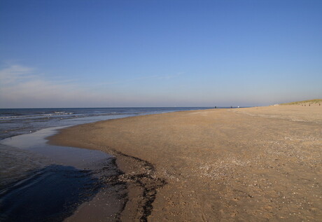 Texel 2