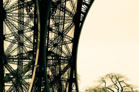 Tour d'Eiffel.jpg