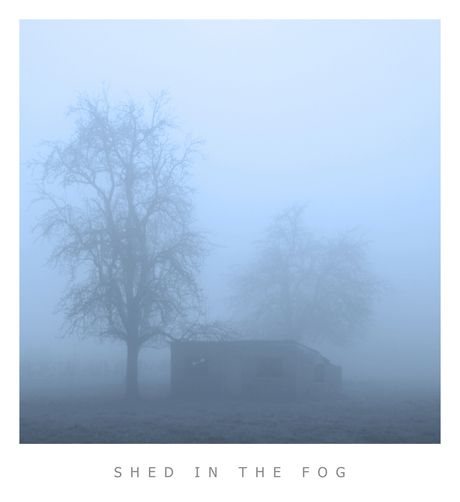 Shed in the Fog
