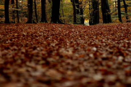 licht aan het eind van