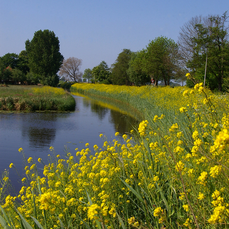 Kleurrijk [2]