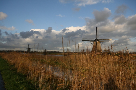 molen