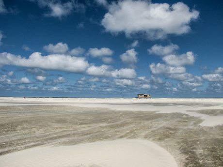 AMELAND