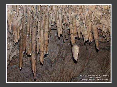 Dak van de onderwereld