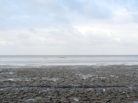 Het Wad