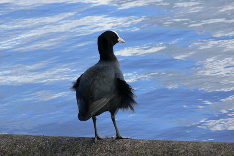 Uitwaaien bij het meer
