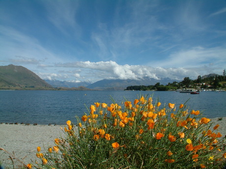 Lake Wanaka NZ