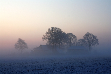 Mist in Wapserveen
