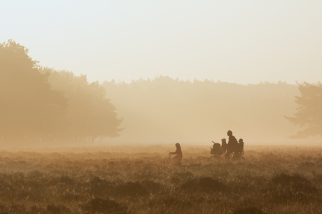 Fietsers in de mist