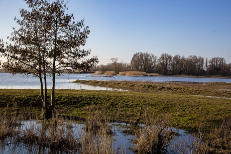 Kleine Gelderse Waard