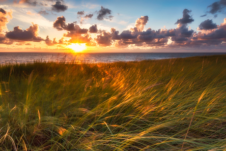 Genieten aan zee..