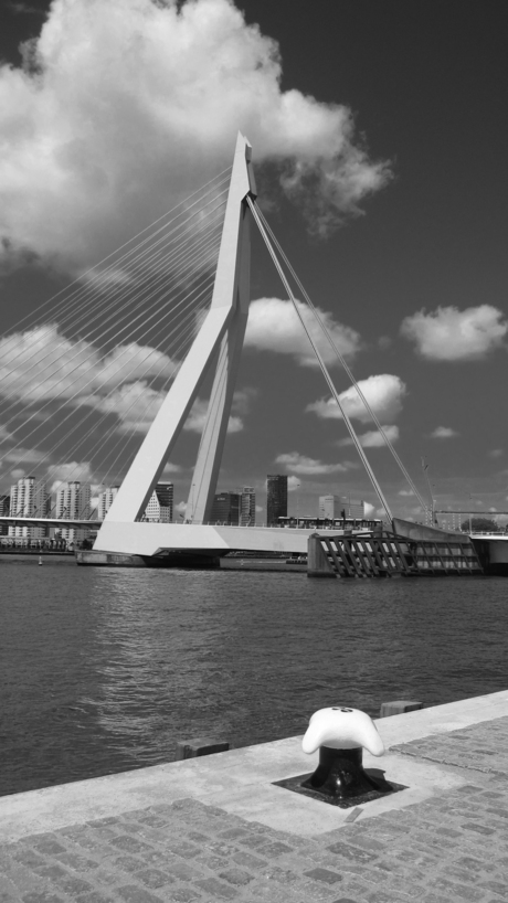 Erasmusbrug Rotterdam