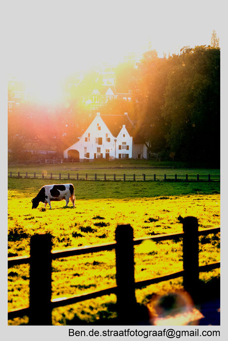 Herfst zonnetje