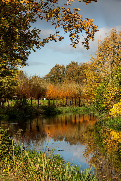 herfstkleuren 2