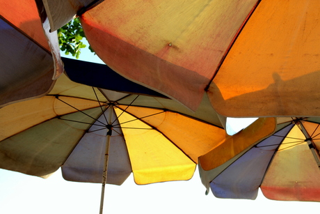 umbrella's