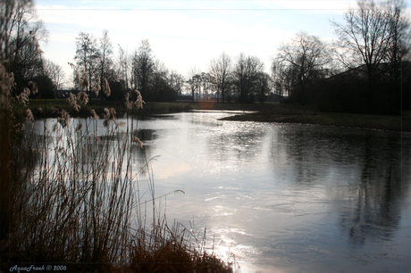 Zon op park