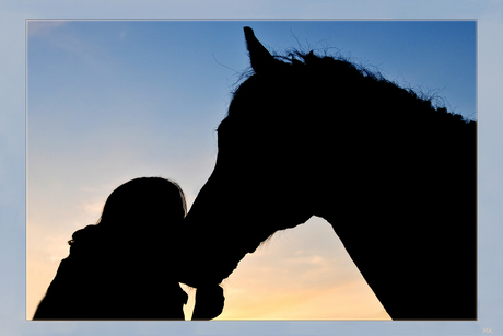 Liefde tussen kind en pony